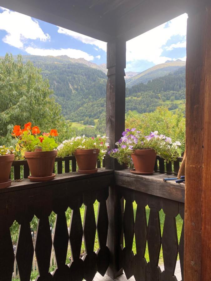 Bed and Breakfast Casa Vegana Trun Esterno foto